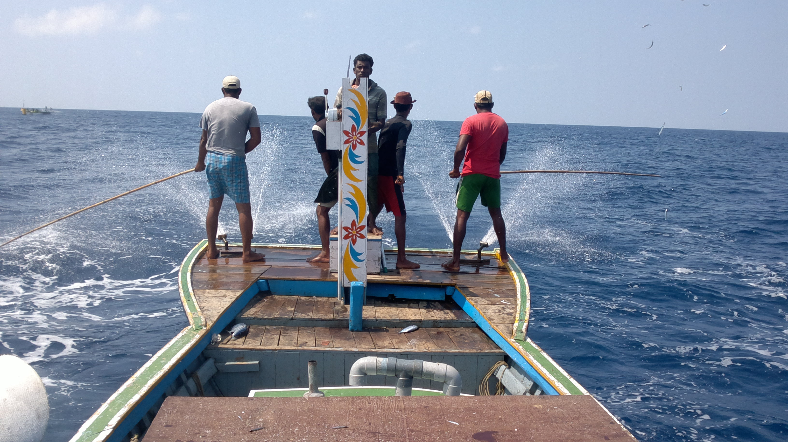 Lakshadweep poleandline skipjack tuna Sourcing Transparency Platform